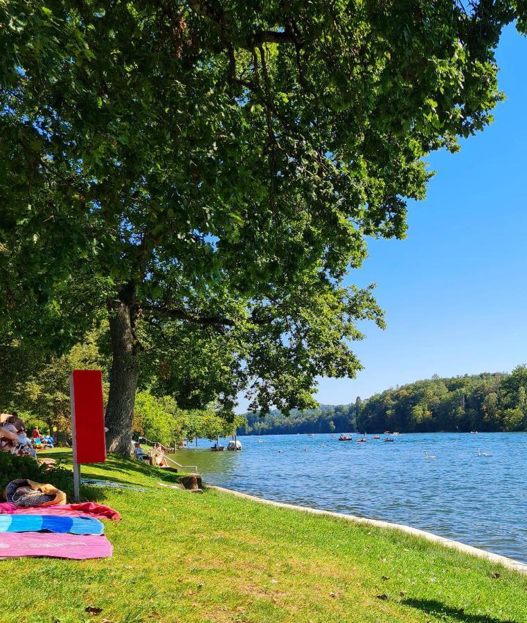 Ferienwohnung Rheinblick In Buesingen -Keine Monteure- Busingen Luaran gambar