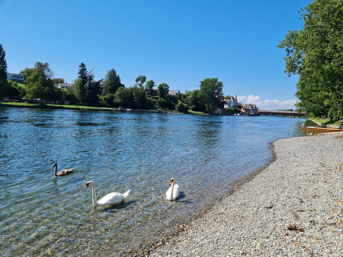 Ferienwohnung Rheinblick In Buesingen -Keine Monteure- Busingen Luaran gambar