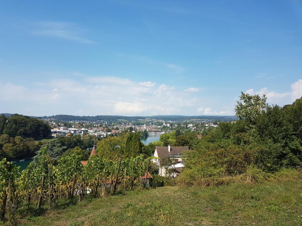 Ferienwohnung Rheinblick In Buesingen -Keine Monteure- Busingen Luaran gambar