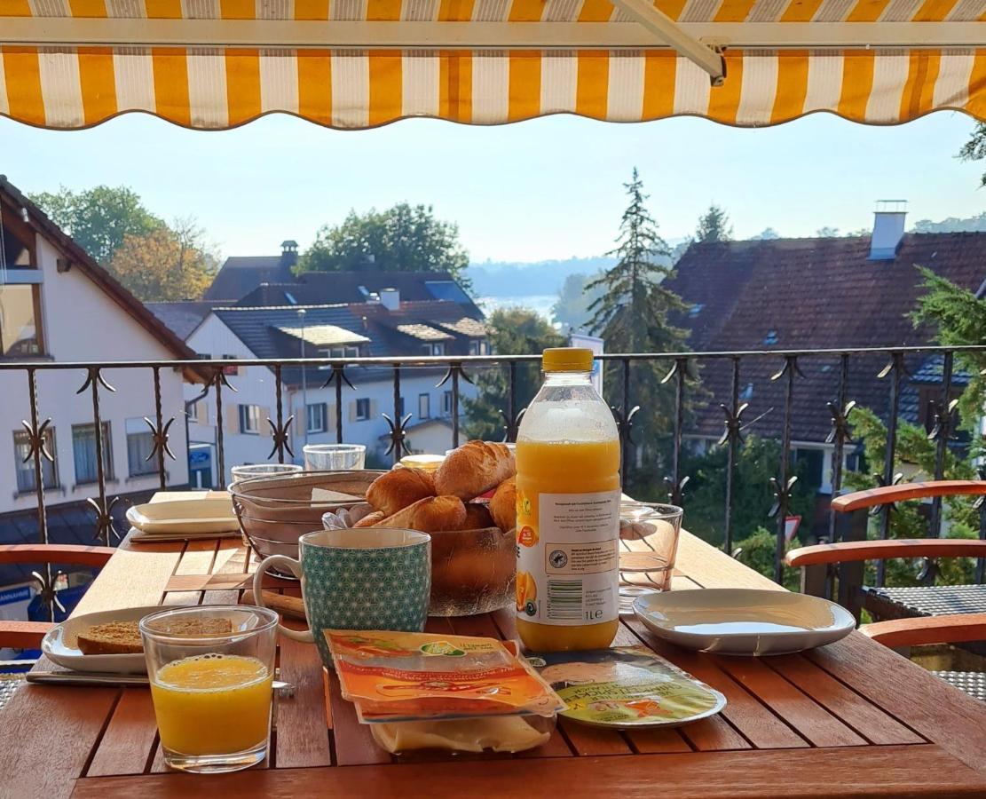Ferienwohnung Rheinblick In Buesingen -Keine Monteure- Busingen Luaran gambar