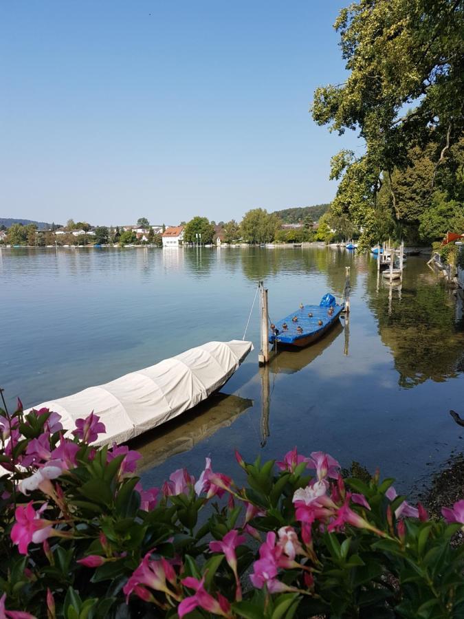 Ferienwohnung Rheinblick In Buesingen -Keine Monteure- Busingen Luaran gambar