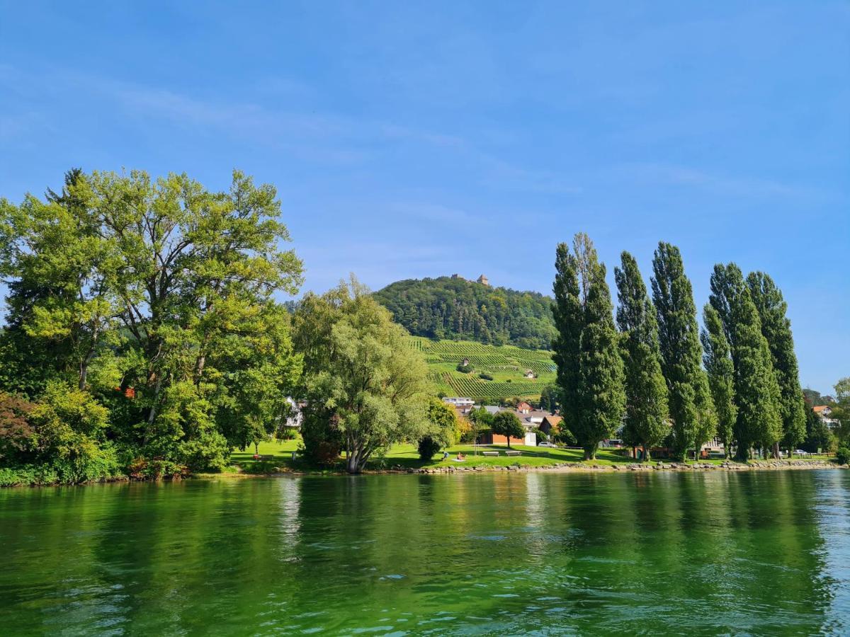 Ferienwohnung Rheinblick In Buesingen -Keine Monteure- Busingen Luaran gambar