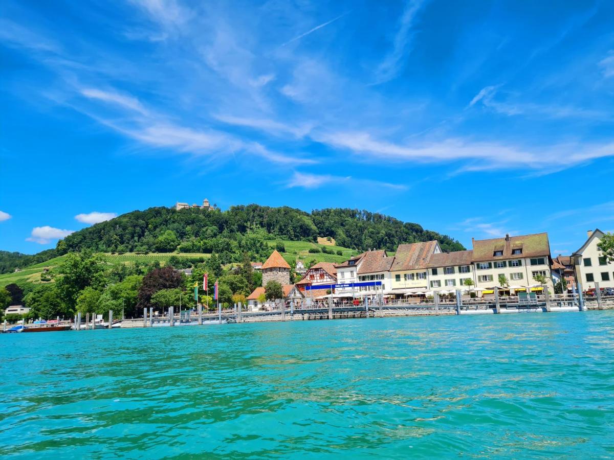 Ferienwohnung Rheinblick In Buesingen -Keine Monteure- Busingen Luaran gambar