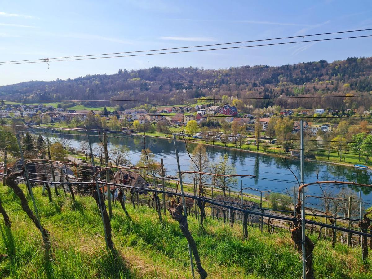 Ferienwohnung Rheinblick In Buesingen -Keine Monteure- Busingen Luaran gambar