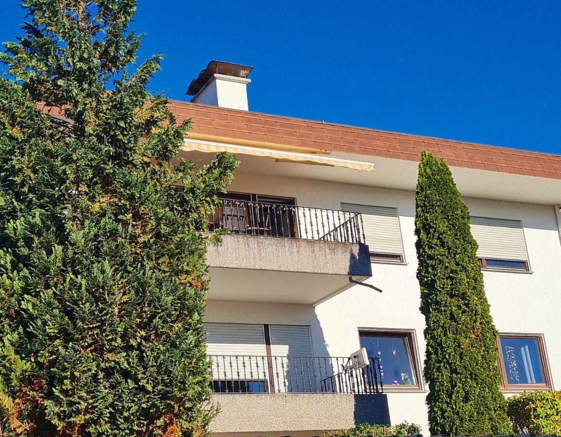 Ferienwohnung Rheinblick In Buesingen -Keine Monteure- Busingen Luaran gambar