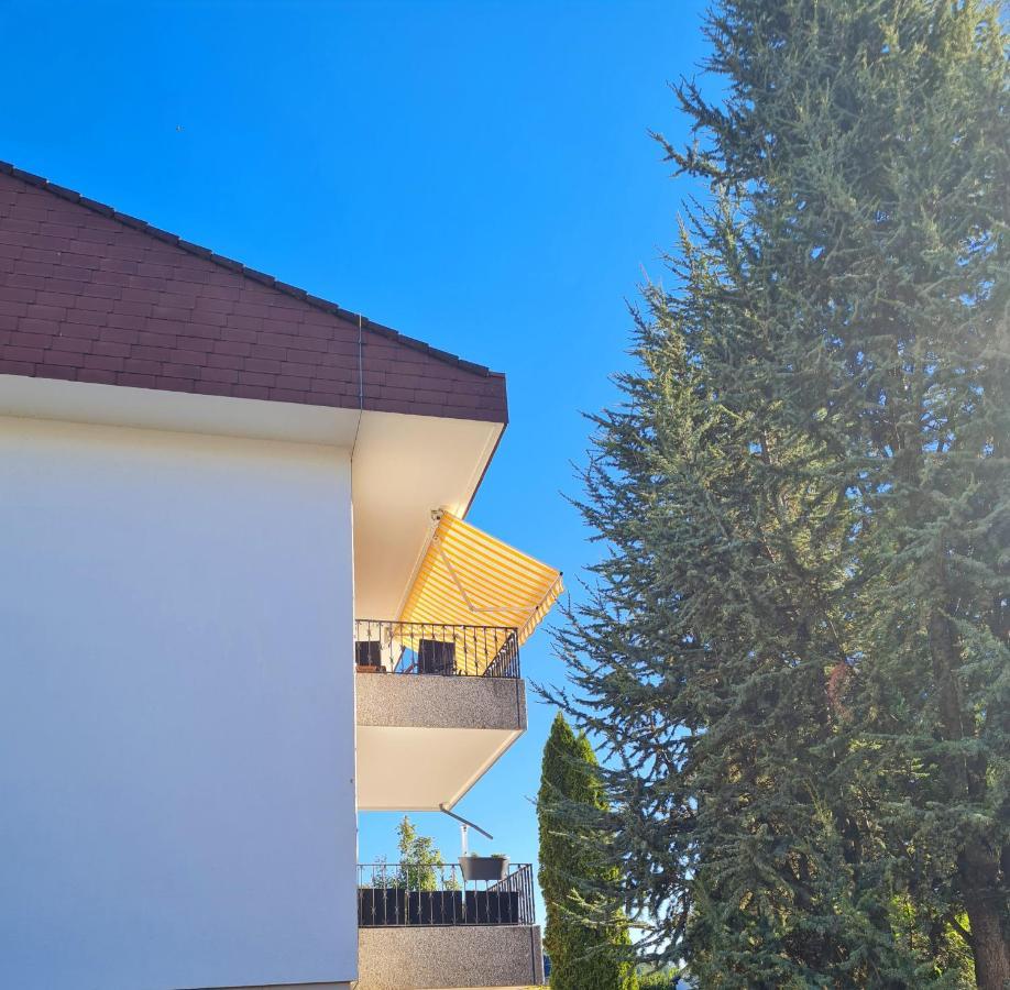 Ferienwohnung Rheinblick In Buesingen -Keine Monteure- Busingen Luaran gambar