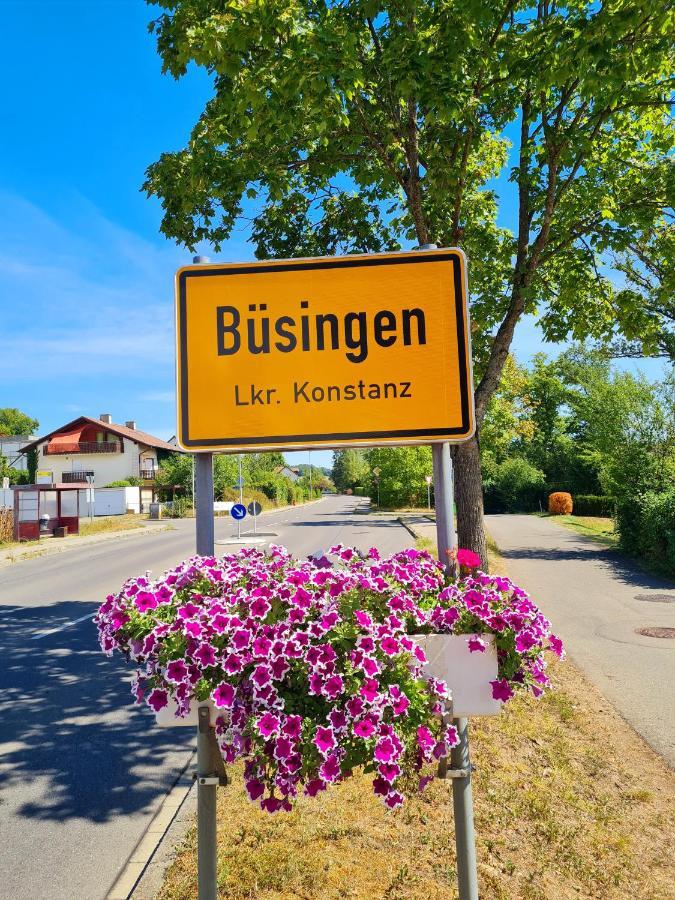 Ferienwohnung Rheinblick In Buesingen -Keine Monteure- Busingen Luaran gambar